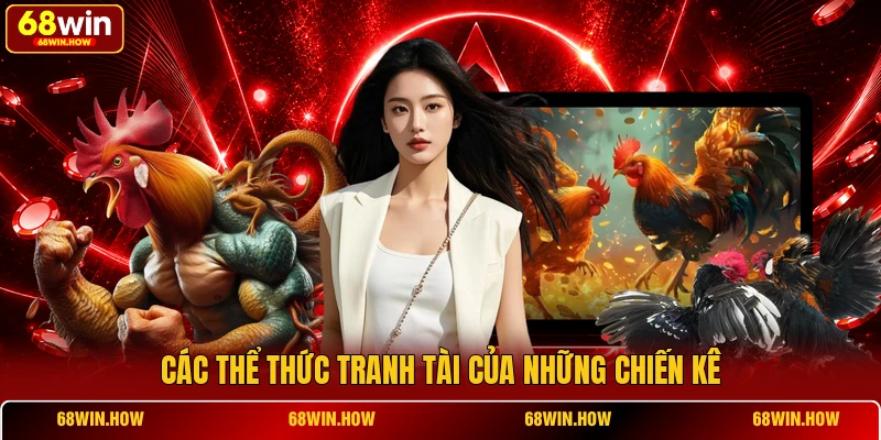 Các thể thức tranh tài của những chiến kê