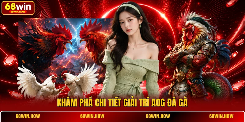 Khám phá chi tiết giải trí AOG đá gà