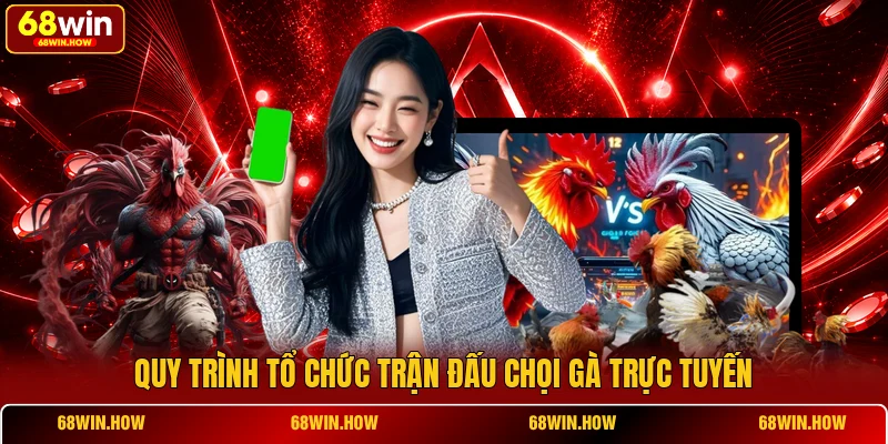 Quy trình tổ chức trận đấu chọi gà trực tuyến