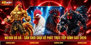 WS168 Đá Gà - Sân Chơi Chọi Kê Phát Trực Tiếp Đỉnh Cao 2026